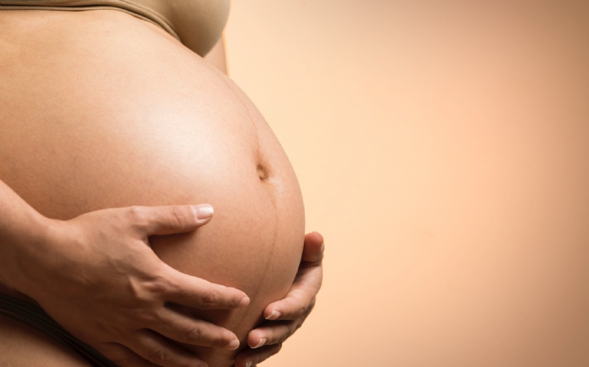 Salrio-maternidade no integra base de clculo de contribuies sociais, diz STF