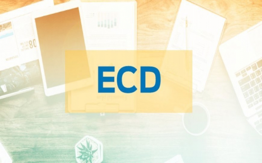 ECD: Receita divulga nova verso do programa