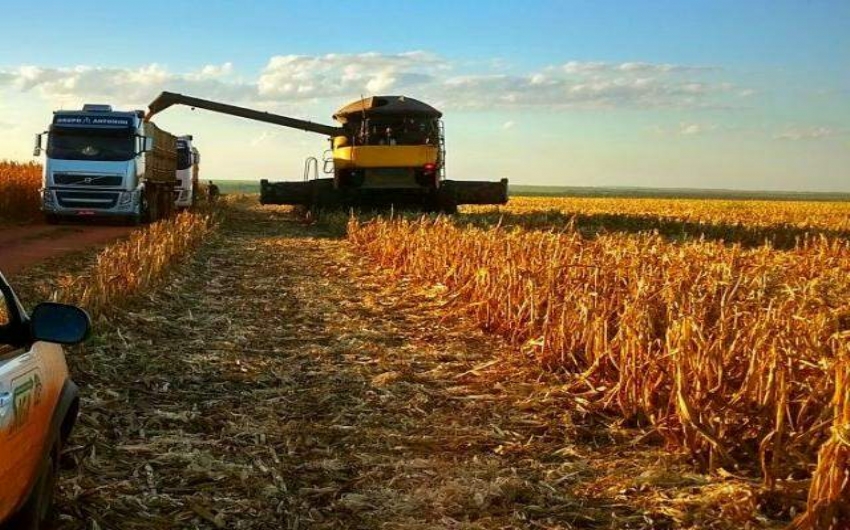Rssia vai impor imposto de exportao sobre o trigo