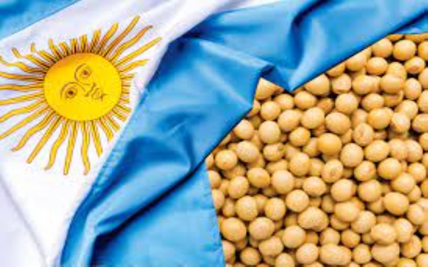 Argentinos seguem retendo exportaes de soja pelos impostos