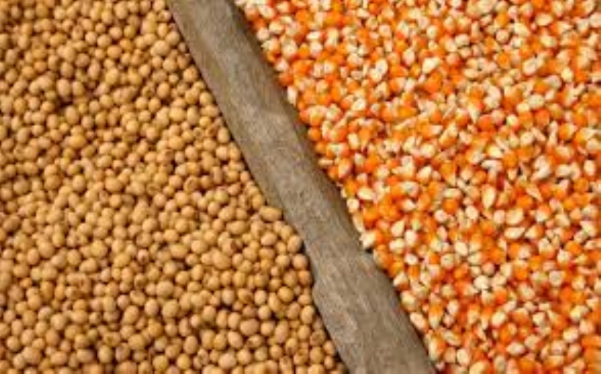 Associaes questionam forma de recolhimento de ICMS de soja e milho em SP