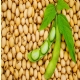 ICMS/GO - DRF de Catalo apreende carga irregular de soja avaliada em R$ 322 mil
