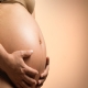 Salrio-maternidade no integra base de clculo de contribuies sociais, diz STF