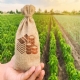 Reforma tributria: Relatrio prev imposto de 25% sobre o agro