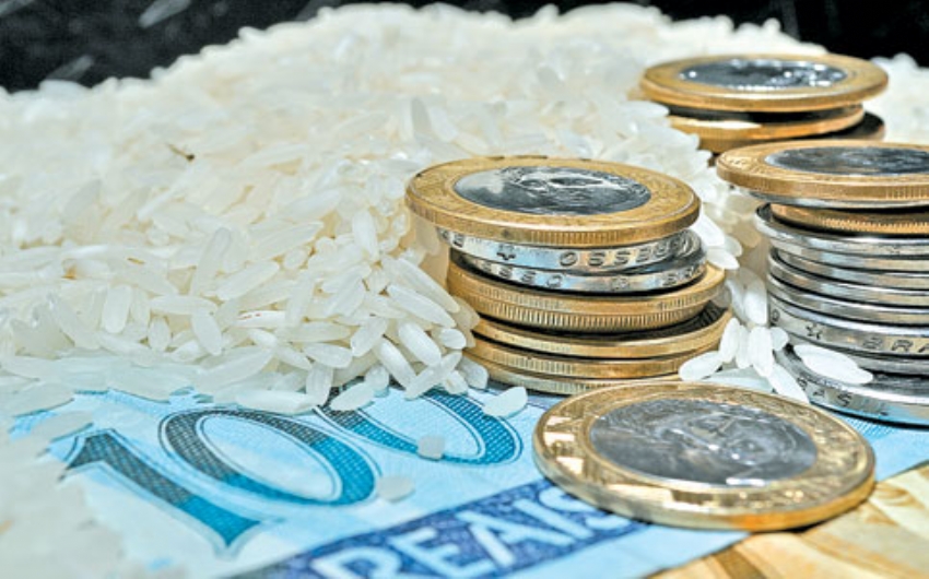 Câmara de Comércio Exterior reduz a zero alíquota de importação de arroz