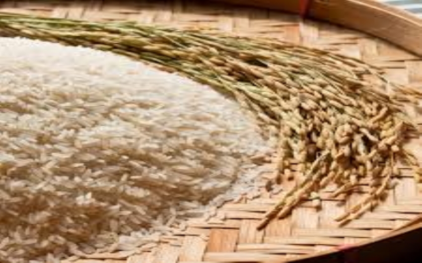 Tarifa zero para a importação do arroz deve conter disparada de preço
