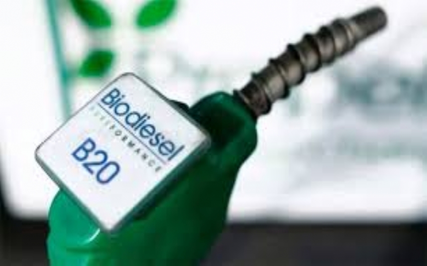 Cofins/PIS-Pasep  Governo Federal institui Selo Biocombustvel Social e regulamenta alquotas das contribuies aplicveis ao biodiesel