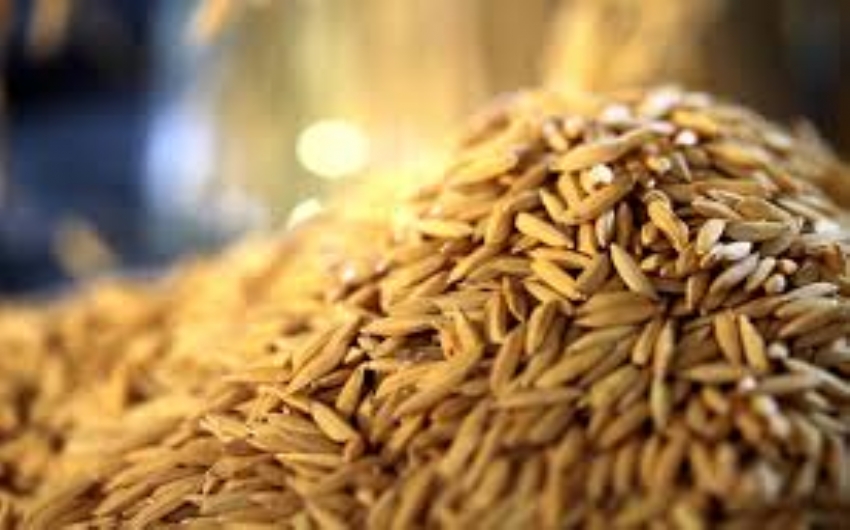 ICMS/RS - Receita Estadual esclarece interpretaes na tributao do setor industrial de arroz