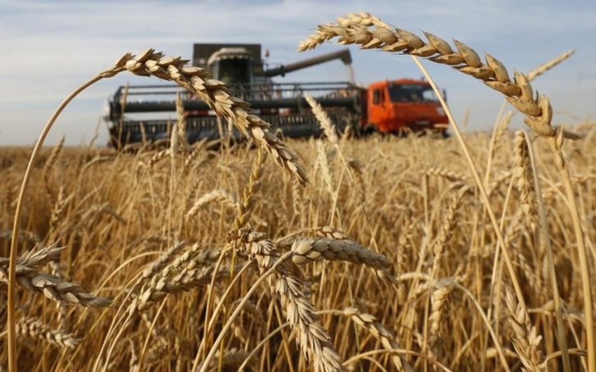 Decreto de Bolsonaro zera imposto de importao de trigo