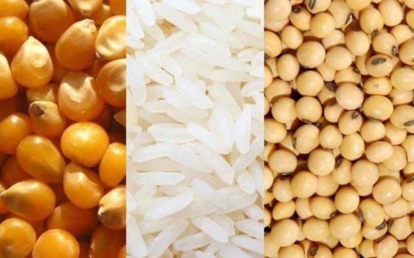 Divulgada nova pauta fiscal para milho debulhado, sorgo, soja, arroz e milheto
