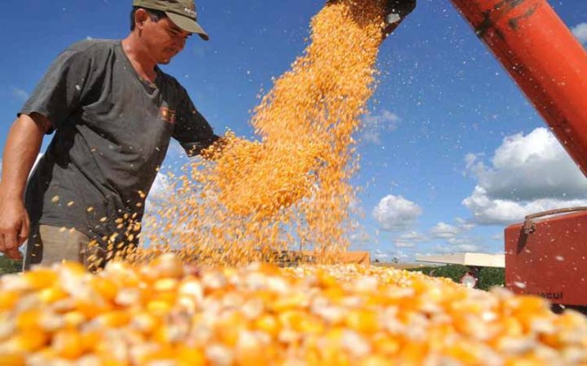 Setor de carnes do Brasil quer isenção de imposto para importar milho