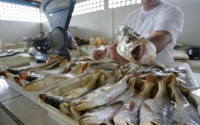 ICMS/MA - Maranho reduz de 4% para 1% o ICMS sobre as operaes com pescados