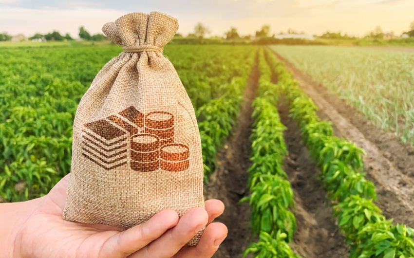 Reforma tributria: Relatrio prev imposto de 25% sobre o agro