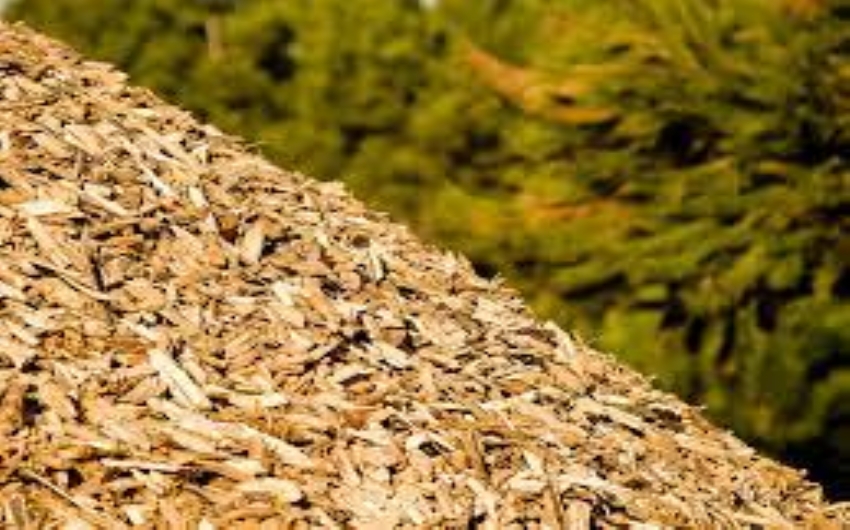 Comissão da Câmara aprova isenção fiscal para geração a biomassa no meio rural