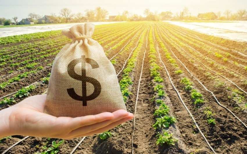 Setor agro é um dos mais atingidos pelo novo texto da reforma tributária