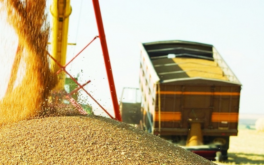 ICMS/GO - DRF Goiás realiza ações de combate à sonegação de ICMS no transporte de grãos