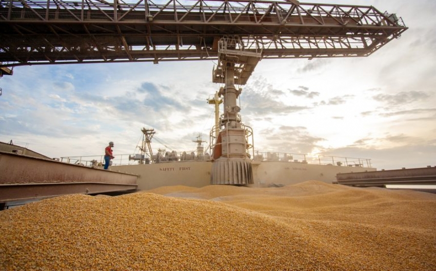 Medida provisória zera tributos sobre milho importado 