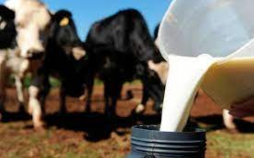 ICMS/MT - Governo simplifica emissão de notas fiscais para laticínios e cooperativas de leite cru