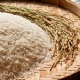 Tarifa zero para a importao do arroz deve conter disparada de preo