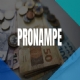 Governo altera as regras para fornecimento de informaes relativas a crdito do Pronampe