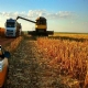 Aprosoja: Aumento de ICMS pode desmotivar produtor a investir no milho safrinha
