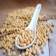 Imposto de importao para milho e soja  suspenso at o fim do ano