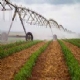 Paran ganha competitividade no agro por causa da iseno de ICMS nos sistemas de irrigao