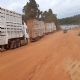 Conhea as regras para obter iseno de ICMS no transporte de gado interestadual