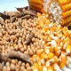 Soja e milho: custo elevado e tributao prejudicam rentabilidade em MT