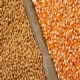 Associaes questionam forma de recolhimento de ICMS de soja e milho em SP